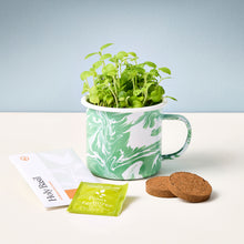 Load image into Gallery viewer, Altered Herbs Mug Grow Kit
