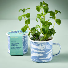 Load image into Gallery viewer, Altered Herbs Mug Grow Kit
