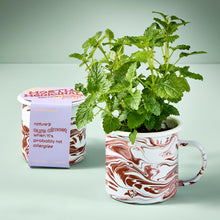 Load image into Gallery viewer, Altered Herbs Mug Grow Kit
