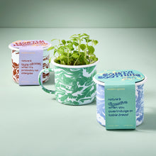 Load image into Gallery viewer, Altered Herbs Mug Grow Kit
