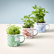 Load image into Gallery viewer, Altered Herbs Mug Grow Kit
