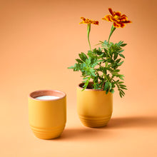 Load image into Gallery viewer, Garden Vibes Candle/Planter 2-in-1
