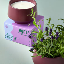Load image into Gallery viewer, Rooted 3-Wick Candle
