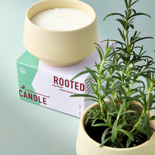 Load image into Gallery viewer, Rooted 3-Wick Candle
