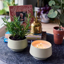 Load image into Gallery viewer, Rooted 3-Wick Candle
