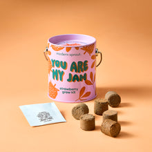 Load image into Gallery viewer, Complimentary Colors Grow Kits
