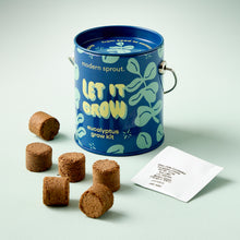 Load image into Gallery viewer, Holiday Complimentary Colors Grow Kits
