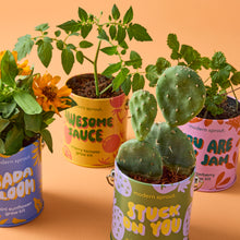 Load image into Gallery viewer, Complimentary Colors Grow Kits
