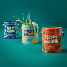 Load image into Gallery viewer, Holiday Complimentary Colors Grow Kits
