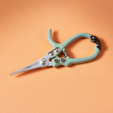 Load image into Gallery viewer, Garden Shears and Pruners
