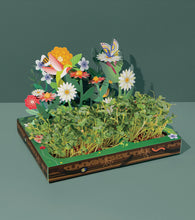 Load image into Gallery viewer, Pop Up Microgreens Kit
