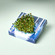 Load image into Gallery viewer, Winter Wonderland Microgreens Kit
