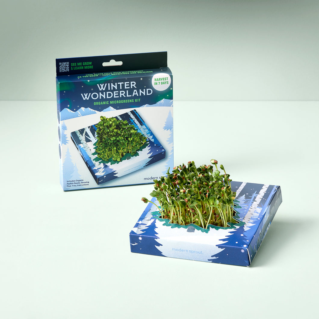 Winter Wonderland Microgreens Kit