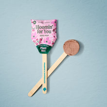 Load image into Gallery viewer, Seed Lollipop - Flower 3pk
