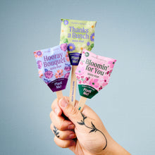 Load image into Gallery viewer, Seed Lollipop - Flower 3pk
