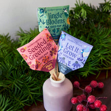 Load image into Gallery viewer, Seed Lollipop - Holly Jolly 3 pk
