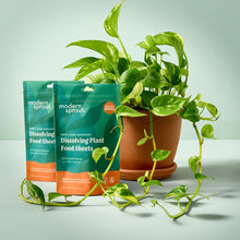 Load image into Gallery viewer, Dissolving Plant Food Sheets
