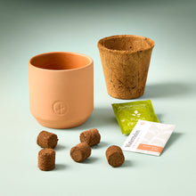 Load image into Gallery viewer, Tiny Terracotta Grow Kits
