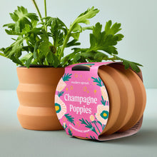 Load image into Gallery viewer, NEW Tiny Terracotta Grow Kits
