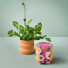 Load image into Gallery viewer, NEW Tiny Terracotta Grow Kits
