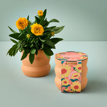 Load image into Gallery viewer, NEW Tiny Terracotta Grow Kits
