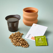 Load image into Gallery viewer, NEW Tiny Terracotta Grow Kits

