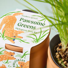 Load image into Gallery viewer, NEW Pet Tiny Terracotta Grow Kits
