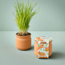 Load image into Gallery viewer, NEW Pet Tiny Terracotta Grow Kits
