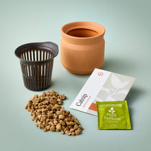 Load image into Gallery viewer, NEW Pet Tiny Terracotta Grow Kits
