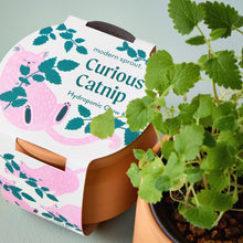 Load image into Gallery viewer, NEW Pet Tiny Terracotta Grow Kits
