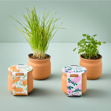 Load image into Gallery viewer, NEW Pet Tiny Terracotta Grow Kits
