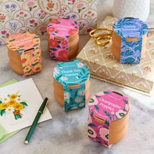 Load image into Gallery viewer, NEW Tiny Terracotta Grow Kits
