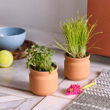 Load image into Gallery viewer, NEW Pet Tiny Terracotta Grow Kits
