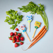 Load image into Gallery viewer, Seed Lollipop - Garden 3pk
