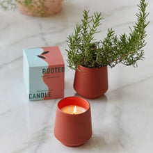 Load image into Gallery viewer, Rooted Candle
