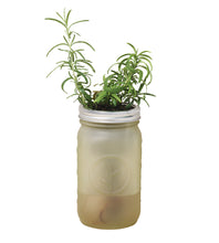 Load image into Gallery viewer, Rosemary Garden Jar + White Plant Mister
