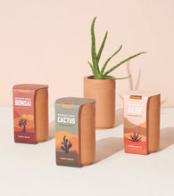 Load image into Gallery viewer, Terracotta Grow Kits
