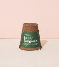 Load image into Gallery viewer, One-For-One Tree Kits
